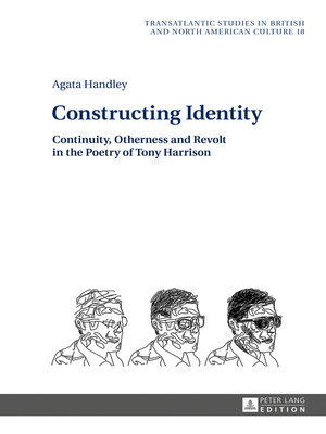 cover image of Constructing Identity